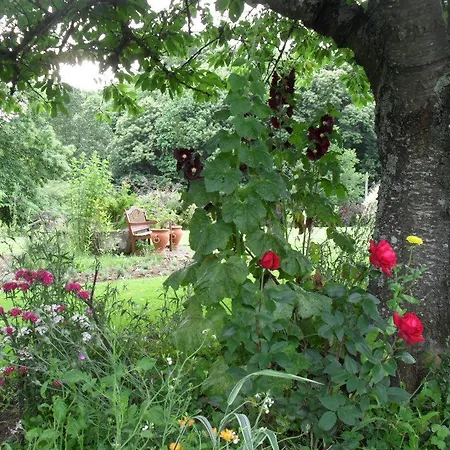 Bed and Breakfast La Chevallerie Isigny-le-Buat