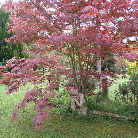 La Chevallerie Bed & Breakfast Isigny-le-Buat