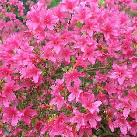 Bed and Breakfast La Chevallerie