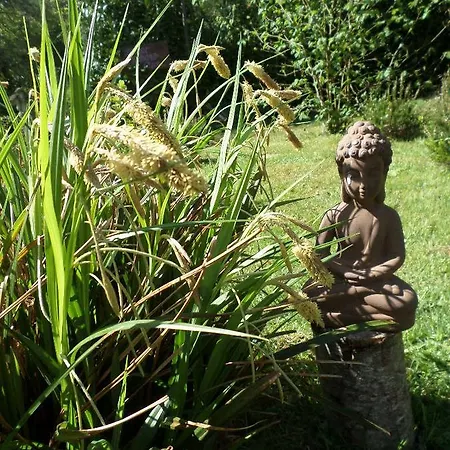 La Chevallerie Bed & Breakfast *
