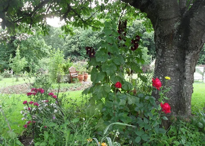 Bed & Breakfast La Chevallerie Isigny-le-Buat